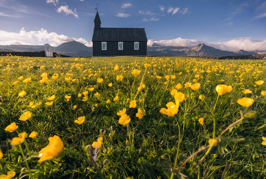 Summer in Iceland is a great time to visit Budakirkja church on Snaefellsnes peninsula Summer in Iceland is a great time to visit Budakirkja church on Snaefellsnes peninsula