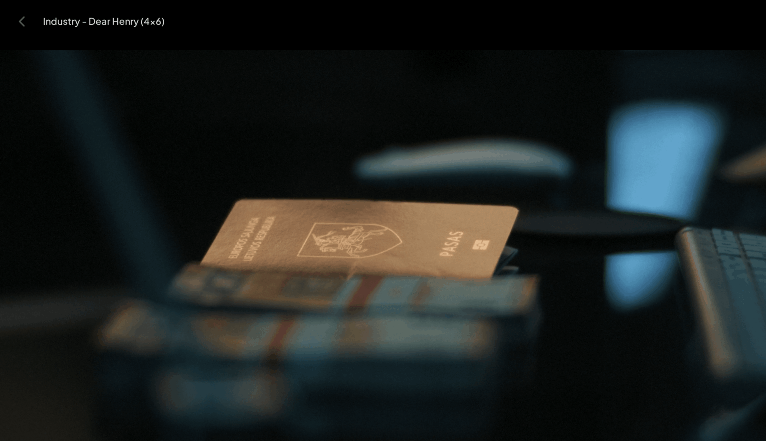 Fake LT passport in HBO show – Industry Fake LT passport in HBO show - Industry