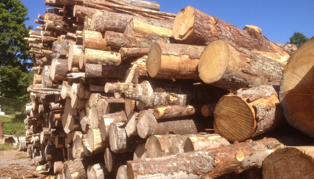 Vida AB to close two Sweden sawmills Vida AB to close two Sweden sawmills