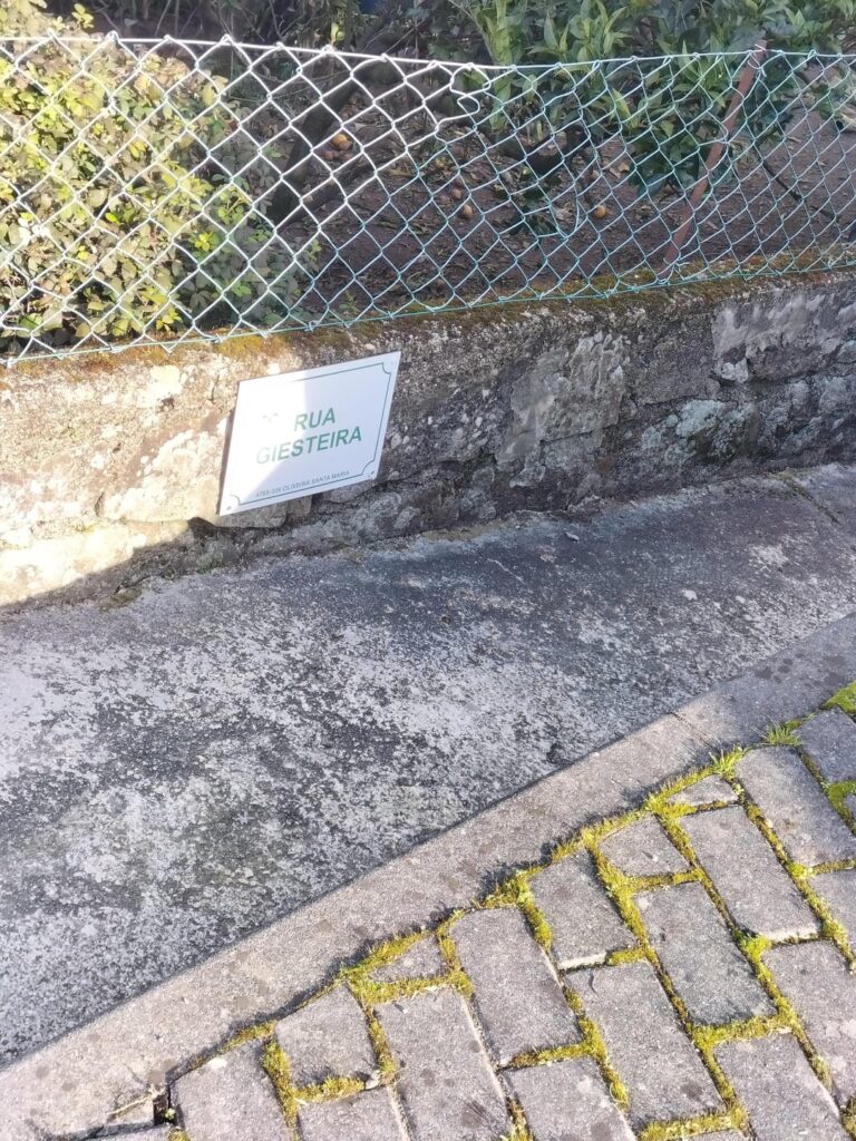 One of the narrowest streets in Portugal!