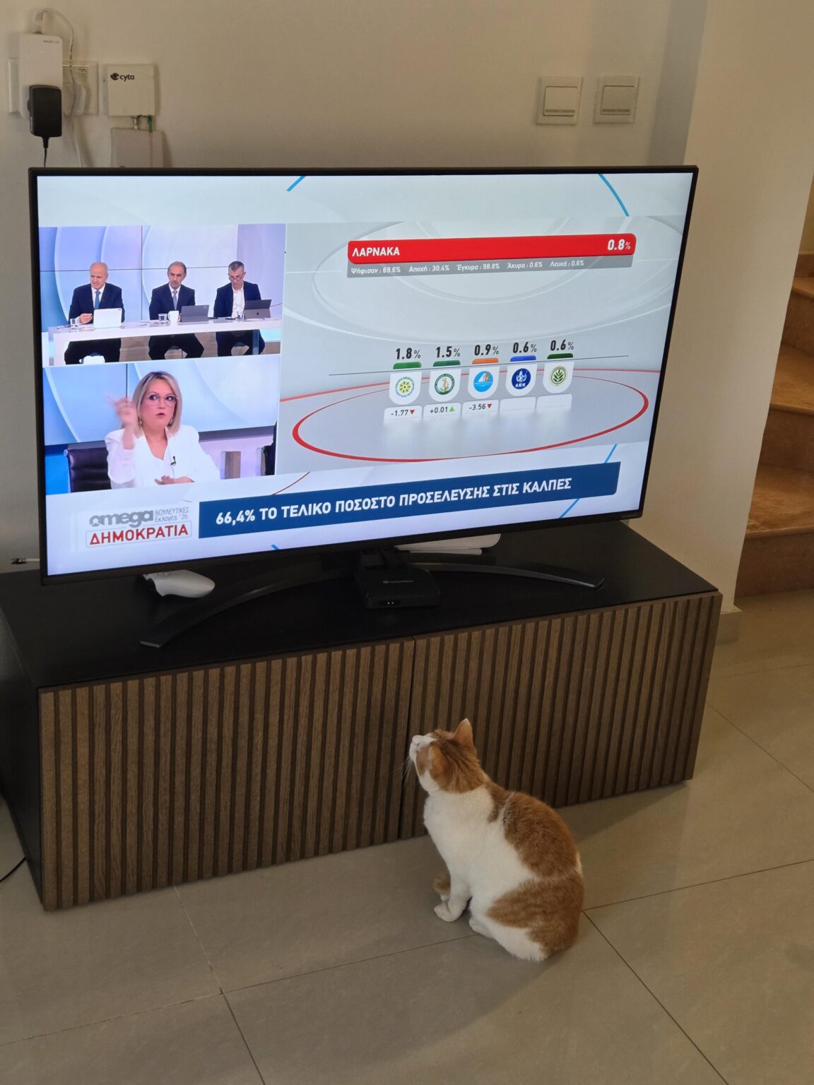 My cat watching the elections looks very concerned