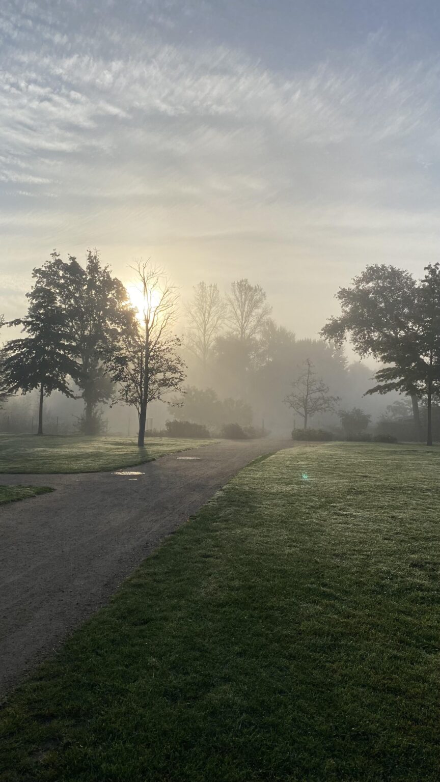 Morning vibes at hamburg