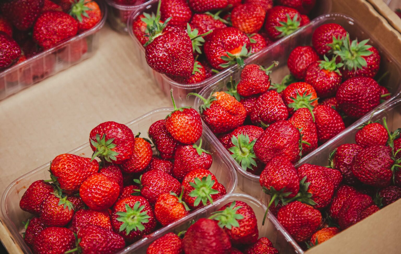 Estonian strawberry growers predict smaller harvest this summer