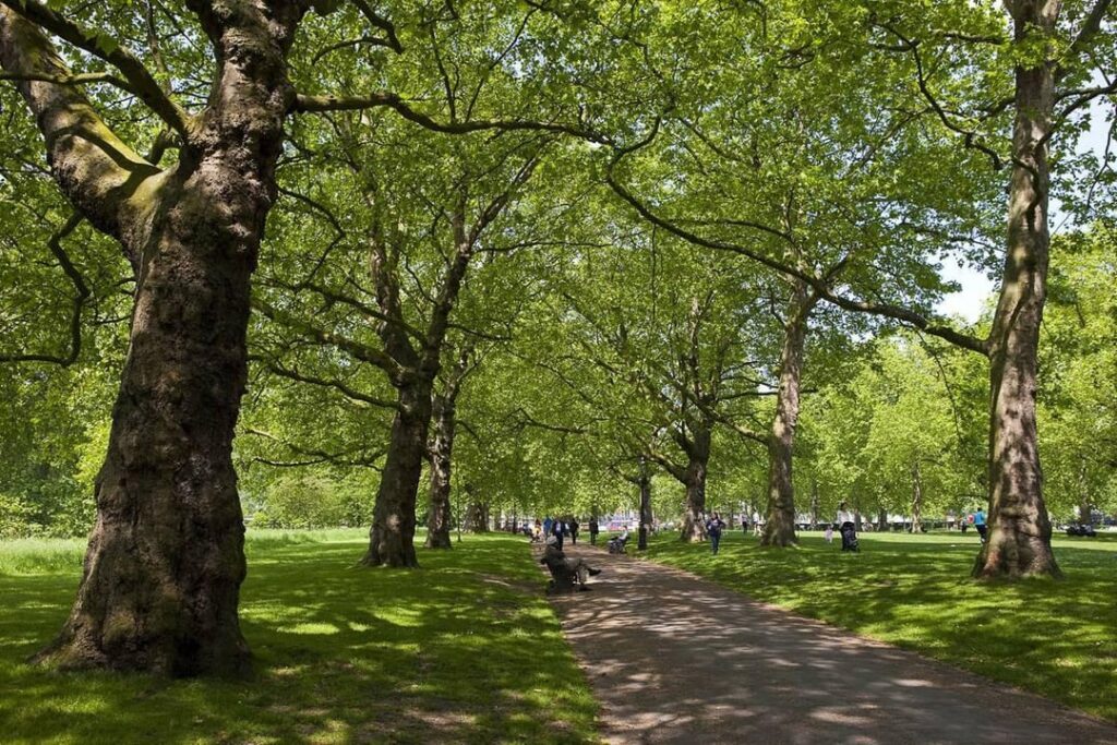 London park🇬🇧