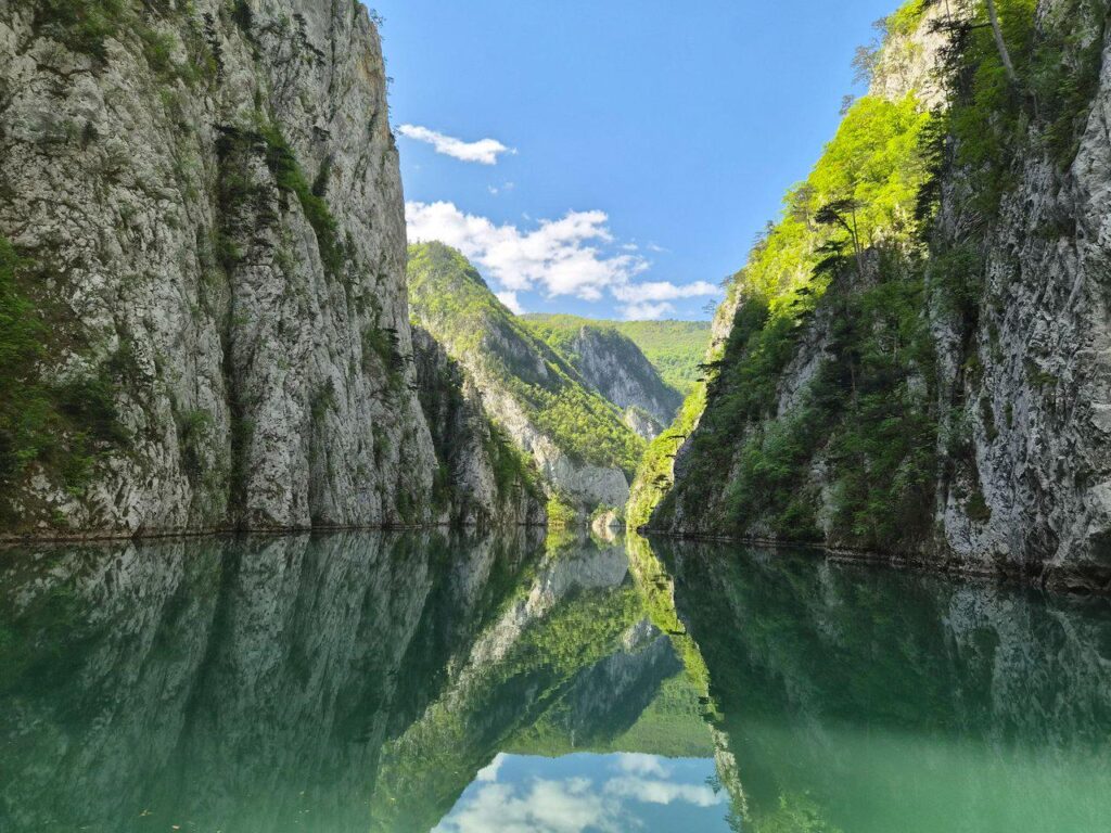 A magnificent part of nature.