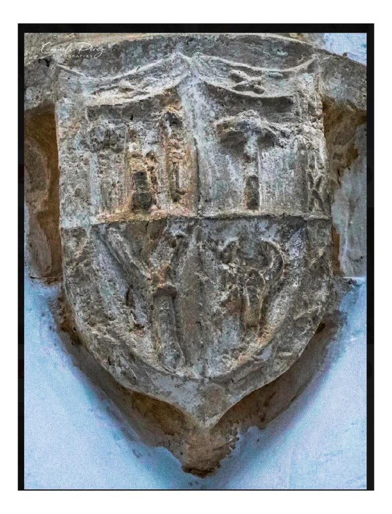 HELP WITH A SHIELD!