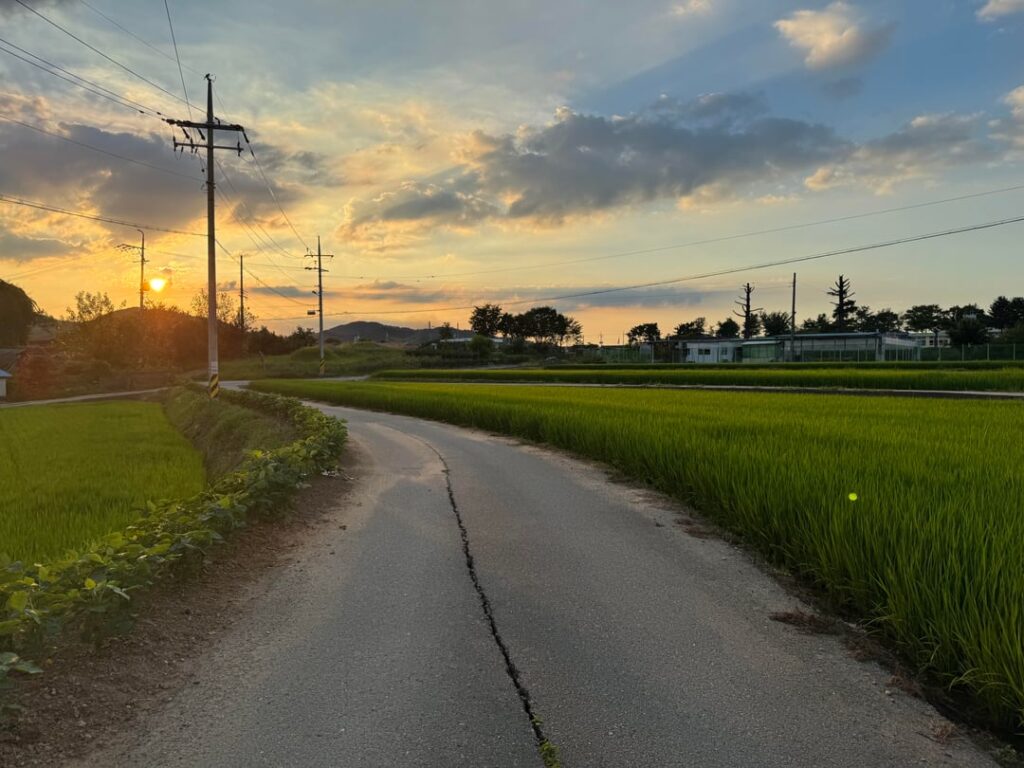 Random Korea Pic