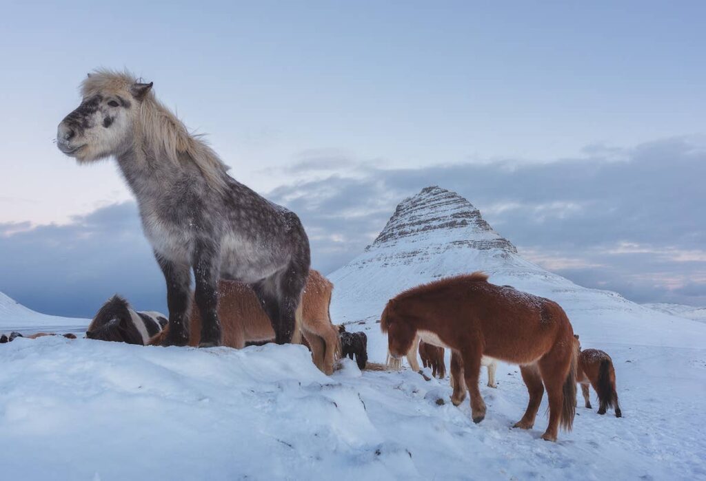 Iceland in Winter - The Ultimate Travel Guide