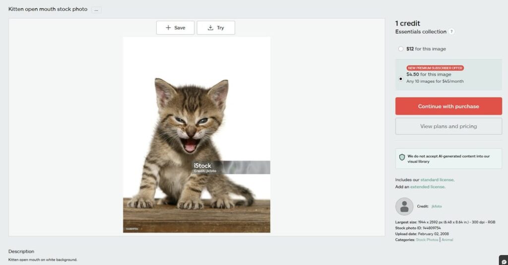I found the name of the kitty from Roaring Kitty’s profile picture I found the name of the kitty from Roaring Kitty's profile picture