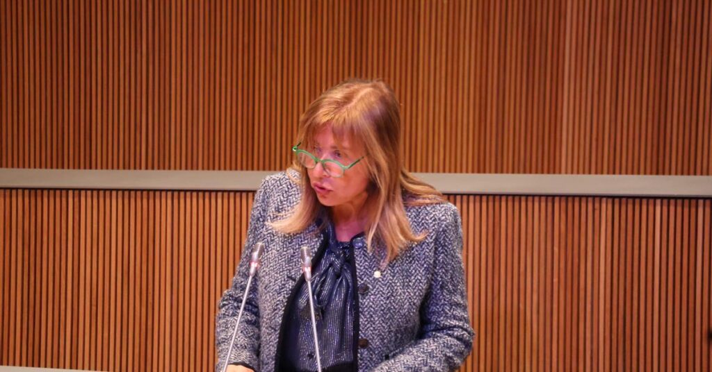 Marsol criticizes the opposition for systematically rejecting the Government's laws