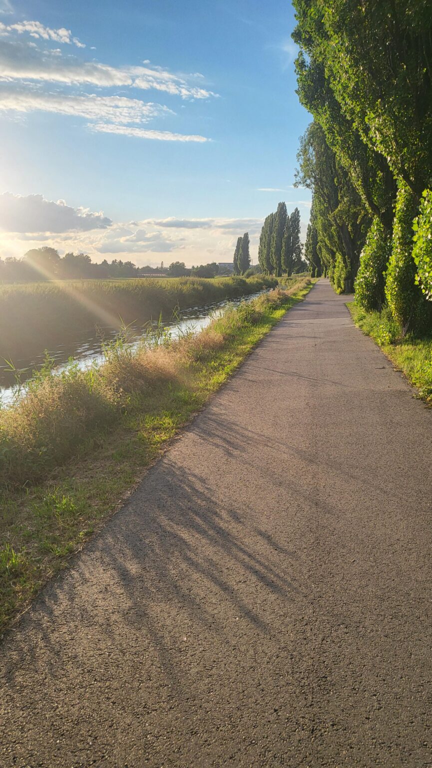 Before sunset