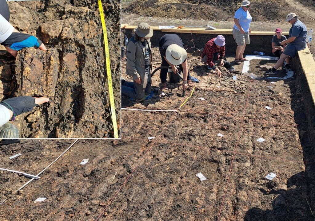 6,000-Year-Old Prehistoric Megastructure in Romania Challenges Everything About Europe’s First Civilizations Mega-structure house found in Stăuceni-‘Holm’, Romania