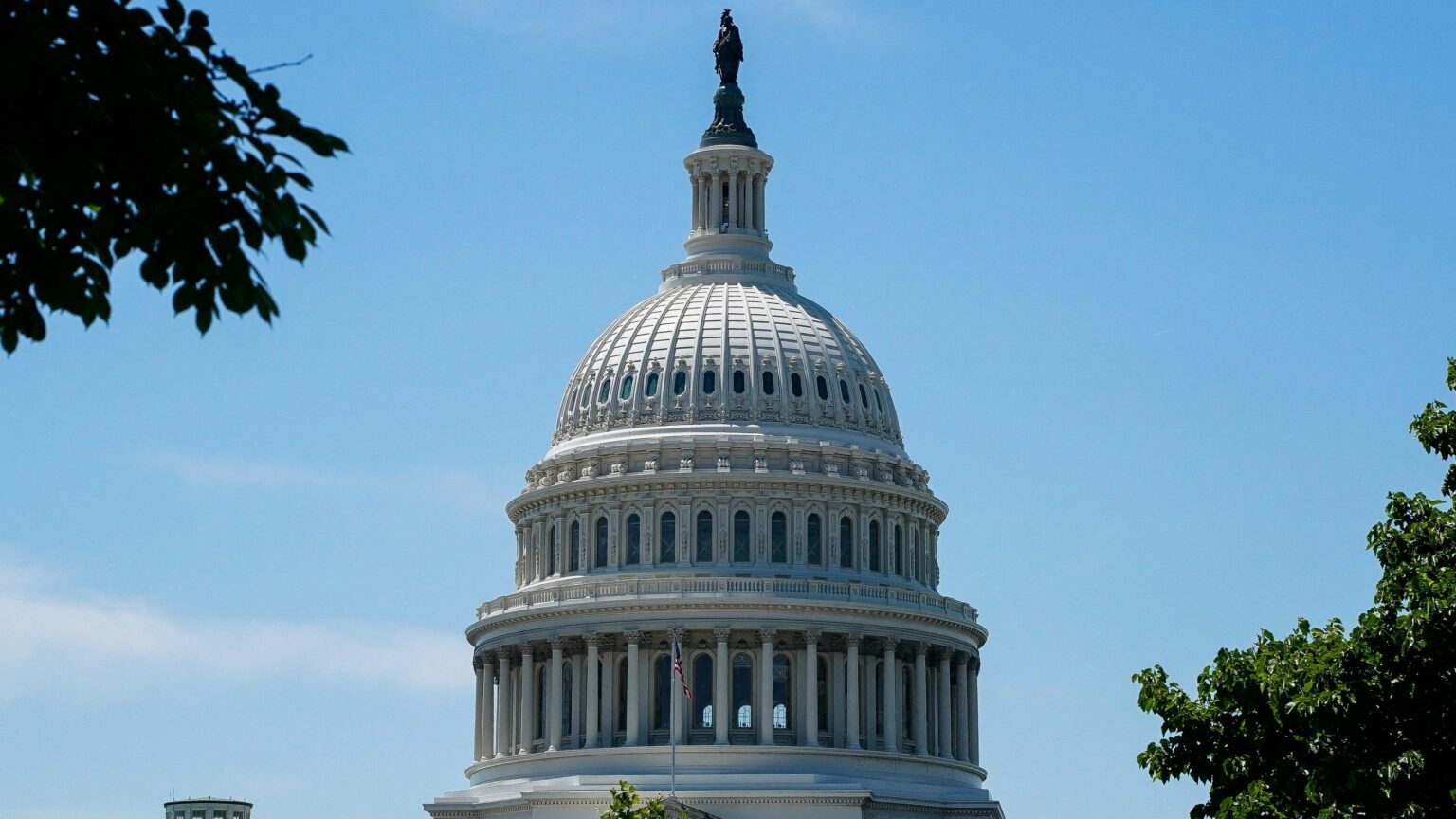 We need to add 6,000 seats to Congress. I'm serious. | Opinion