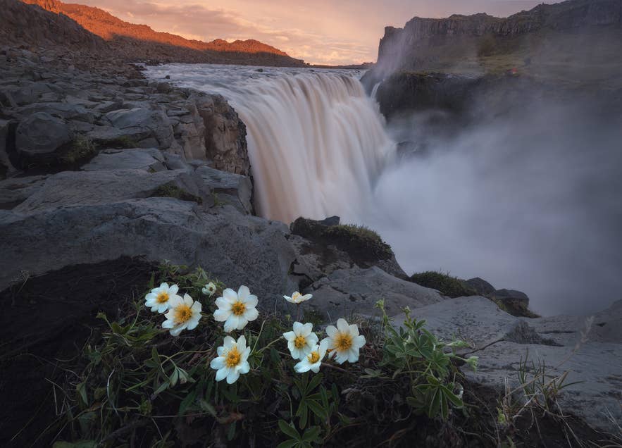 Dettifoss Waterfall in North Iceland, a dramatic filming location used in the movie Prometheus. Dettifoss Waterfall in North Iceland, a dramatic filming location used in the movie Prometheus.