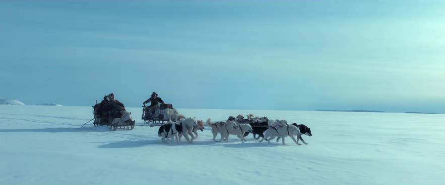 The scenes in Against the Ice feature dog sledding on glaciers in Iceland The scenes in Against the Ice feature dog sledding on glaciers in Iceland