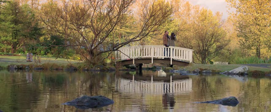 The climax of the movie takes place in the Reykjavik Botanical Garden The climax of the movie takes place in the Reykjavik Botanical Garden