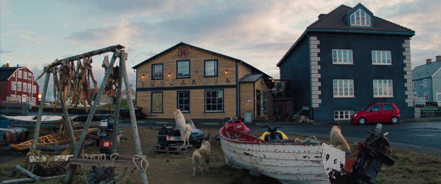 Stykkisholmur in Iceland, dressed up as Nuuk, Greenland Stykkisholmur in Iceland, dressed up as Nuuk, Greenland