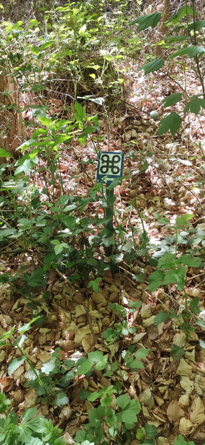What does this symbol means?