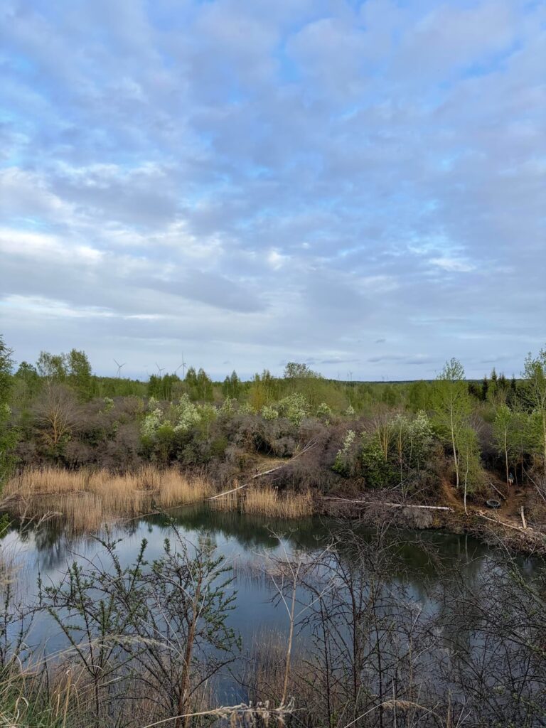 New Stone 50km hike
