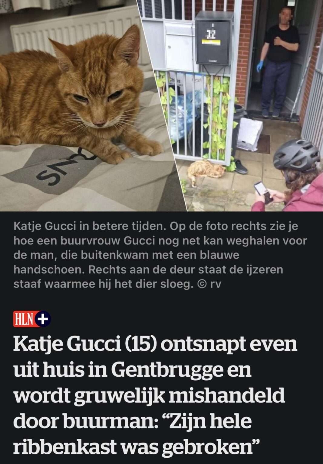 Katje Gucci (15) briefly escapes from her home in Gentbrugge and is horribly abused by a neighbor: “His entire ribcage was broken”