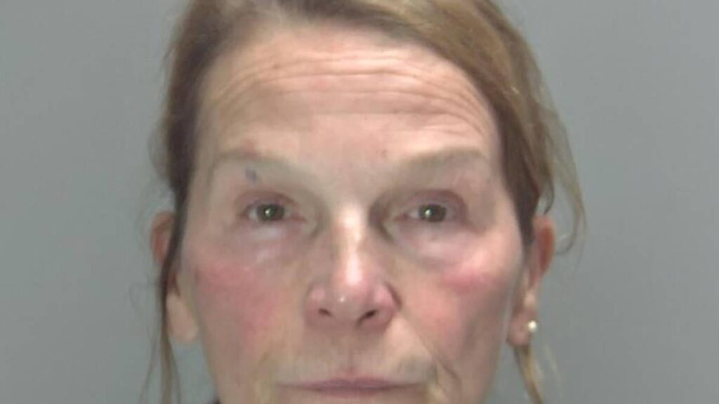 Woman stabbed husband after he had their pet dogs put down