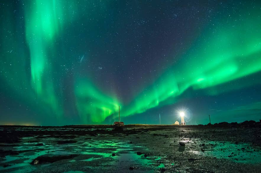 Northern Lights glowing above a lighthouse and coastline in Iceland under a clear starry night sky Northern Lights glowing above a lighthouse and coastline in Iceland under a clear starry night sky