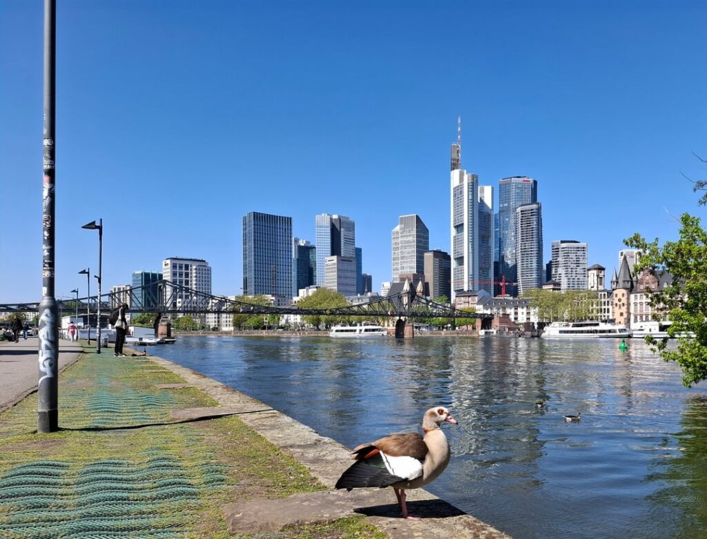 Frankfurt am Main: “Mainhattan” between nature, history, and skyscraper canyons Frankfurt am Main: "Mainhattan" between nature, history, and skyscraper canyons