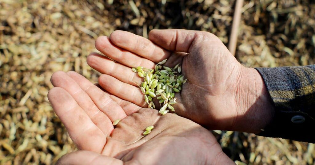 World has 6 months to avert major food crisis, says UN as Hormuz struggle drags on