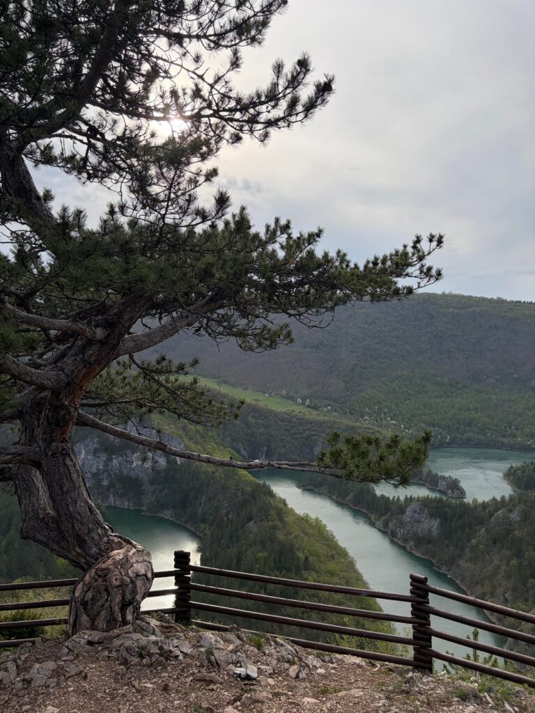 The meanders of Ćehotina, which are located 20 km from Pljevlja