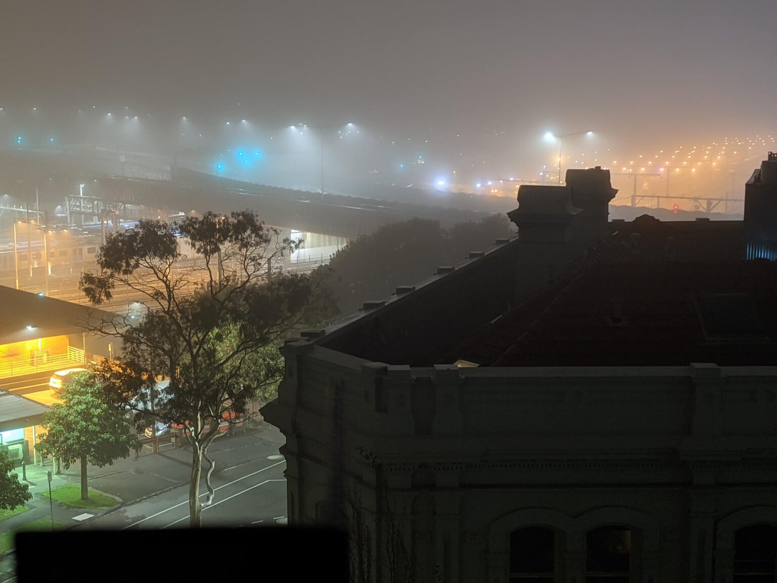 She be a thicc fog tonight