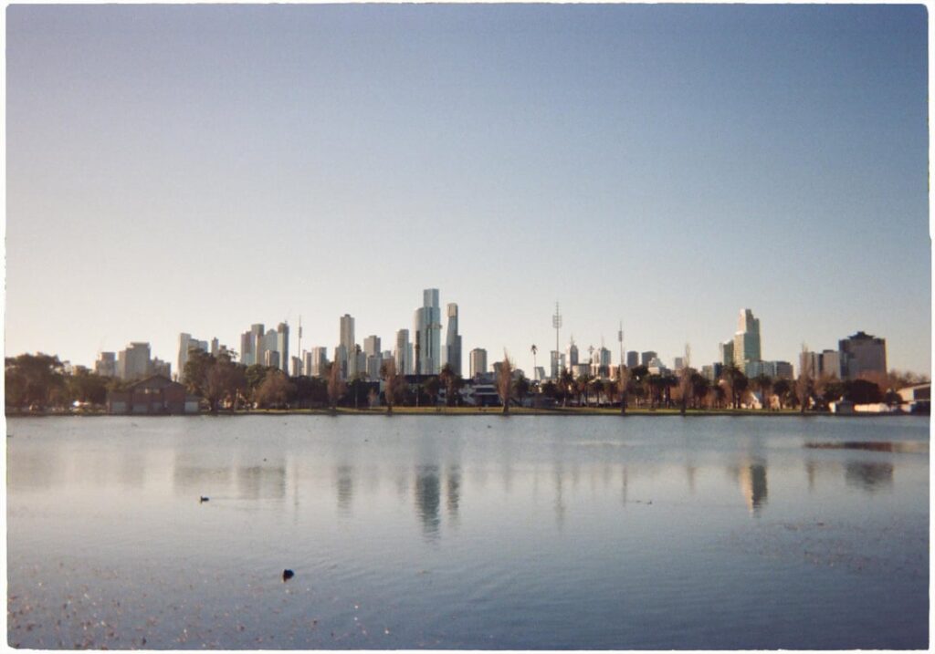 Melb disposable