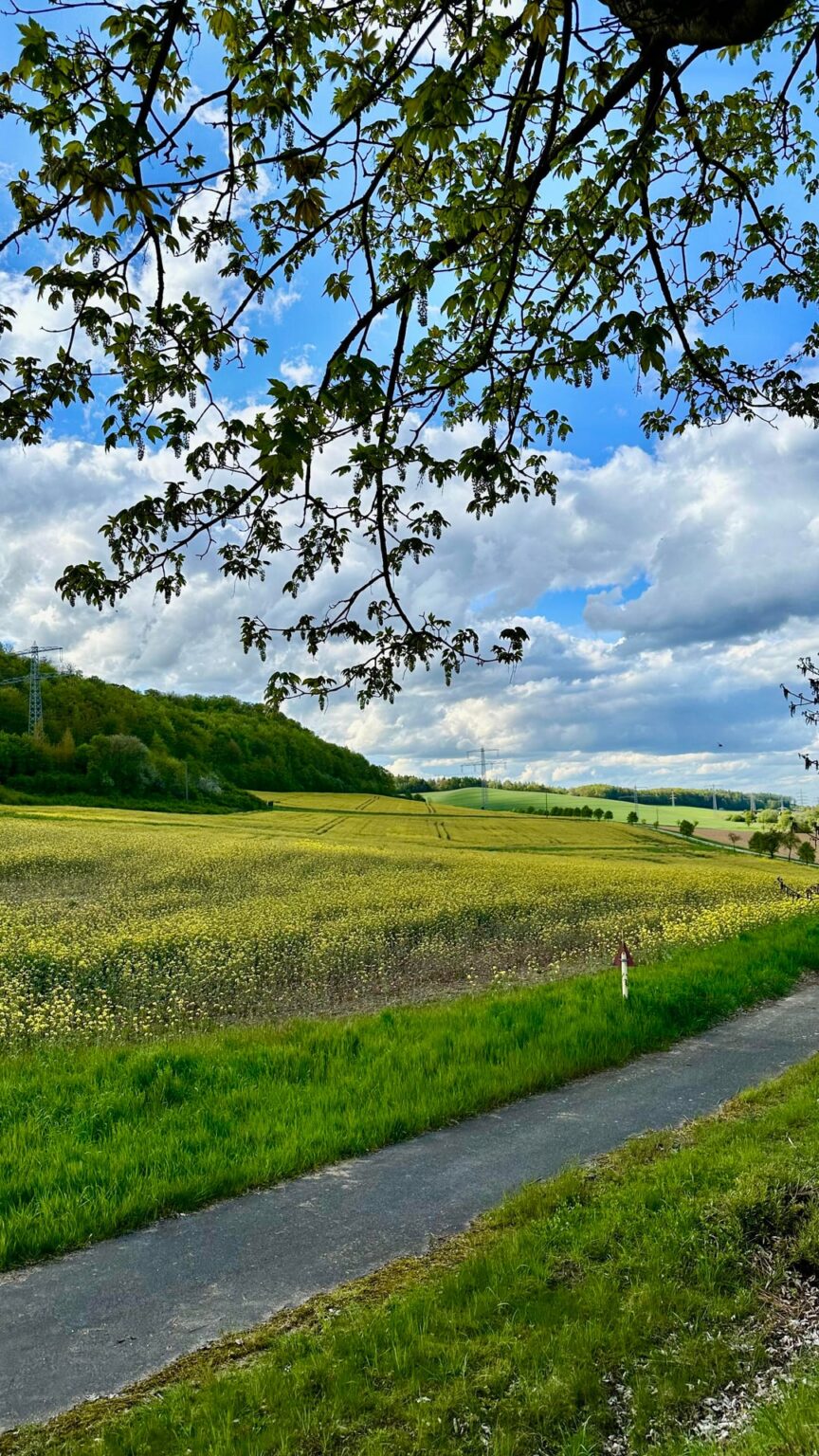 Finally summer has arrived to Germany ๐๐ป Finally summer has arrived to Germany ๐๐ป