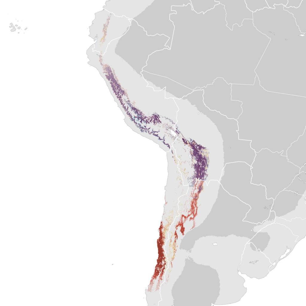 Giant humminbird distribution