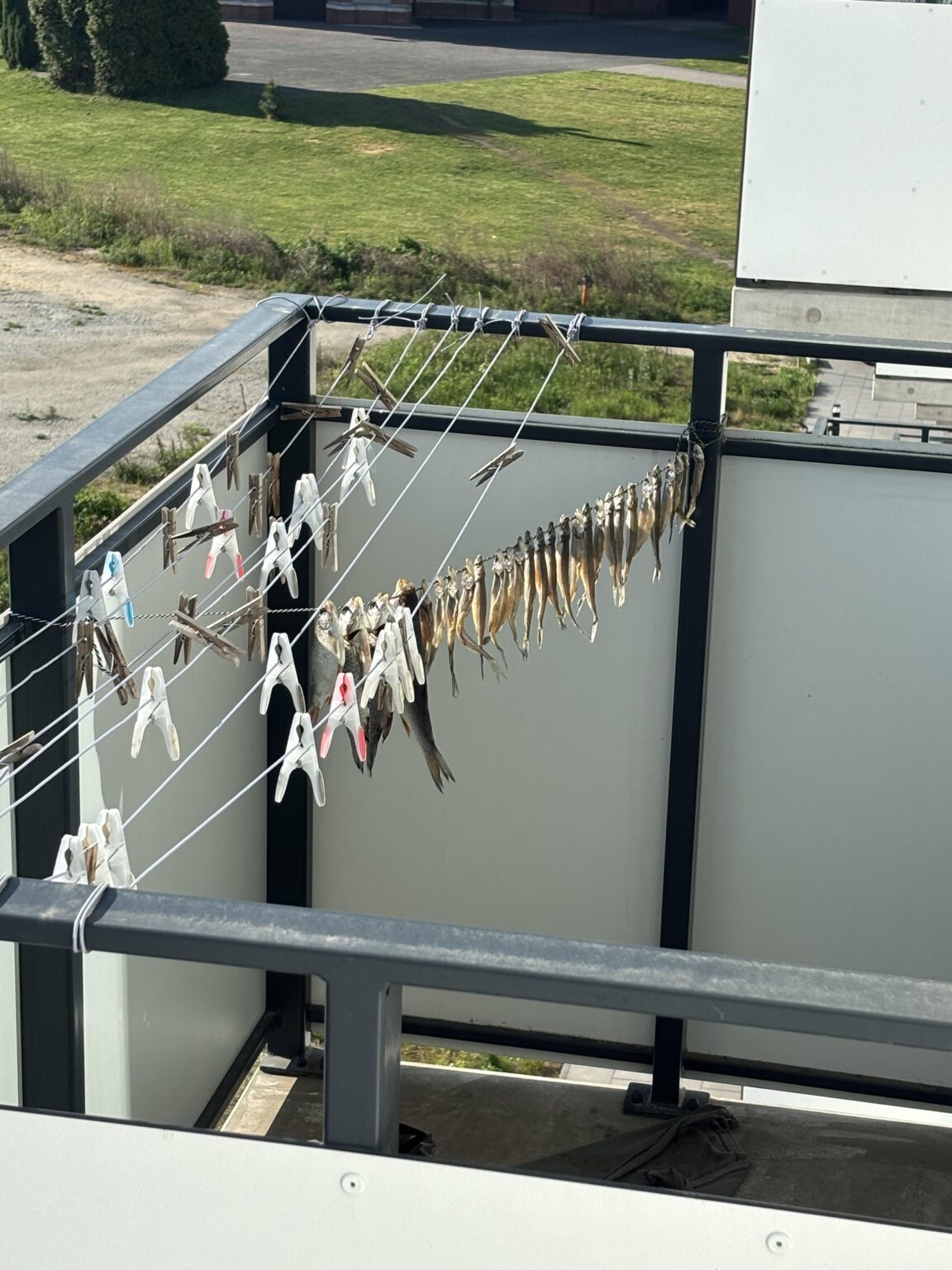 So that’s why you need balcony in Poland :)
