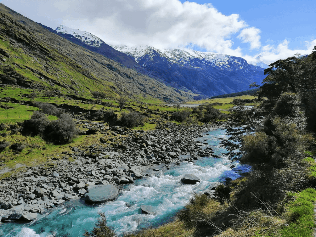 Rob Roy Glacier - New Zealand
