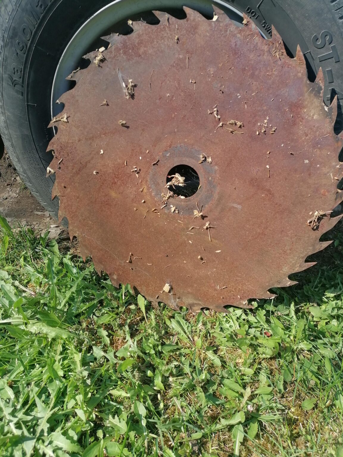 Grandpa's discolf disc
