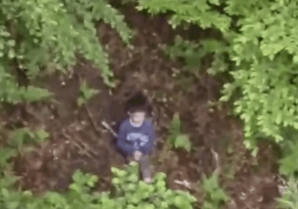 The five-year-old boy from Sibiu, missing for two days, was found alive in a forest