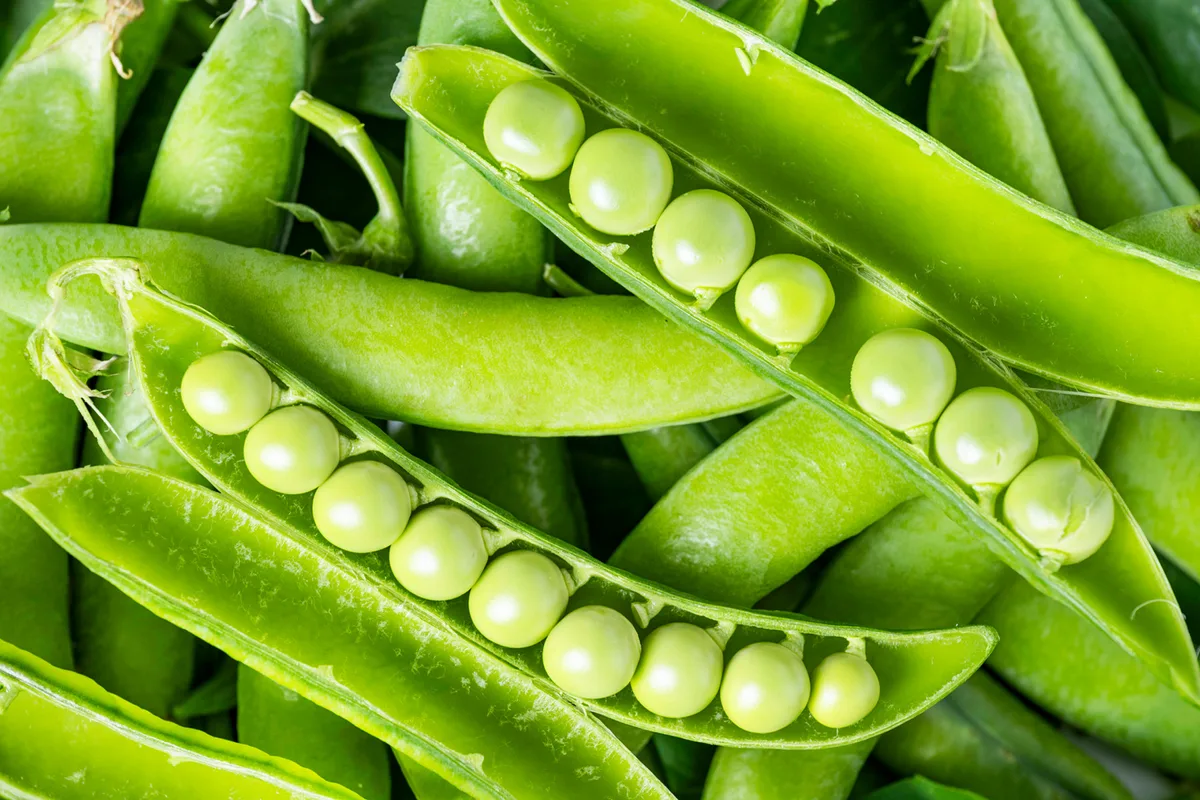 Peas in a pod