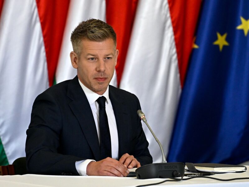 5 days in: EU flag flies again, oligarchs quake as Hungary’s Magyar dismantles Orbán machine 5 days in: EU flag flies again, oligarchs quake as Hungary's Magyar dismantles Orbán machine