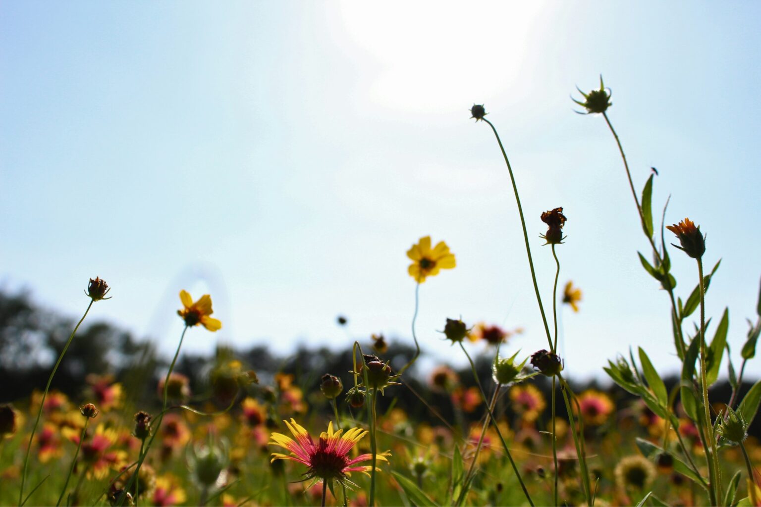 Weather & Traffic: Sunday 24 May: I melt with you