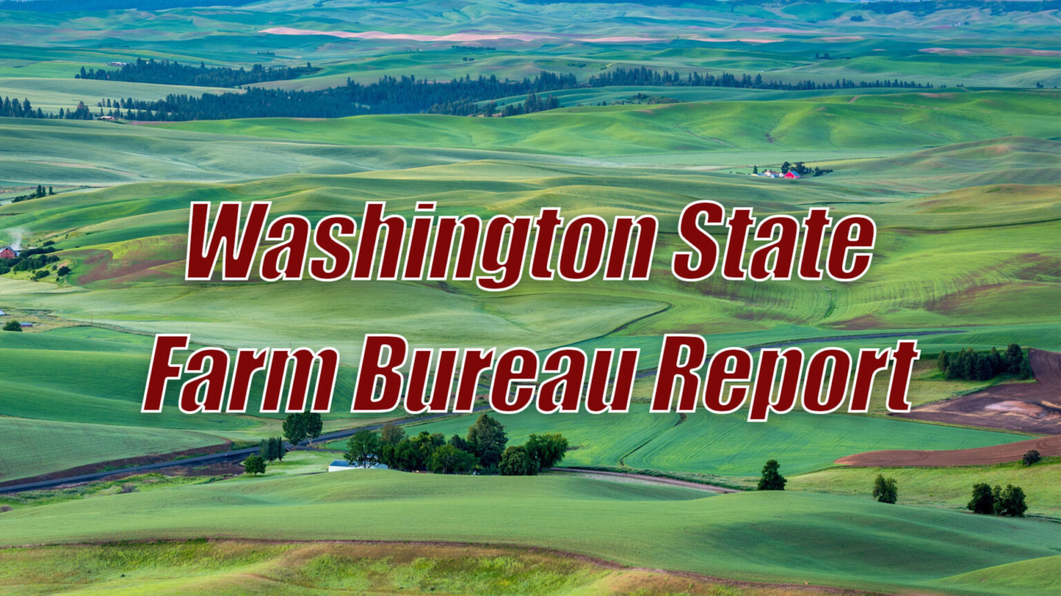 Mental Health Awareness Month – AG INFORMATION NETWORK OF THE WEST Mental Health Awareness Month