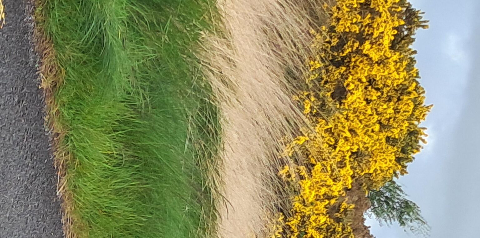 Natural flag