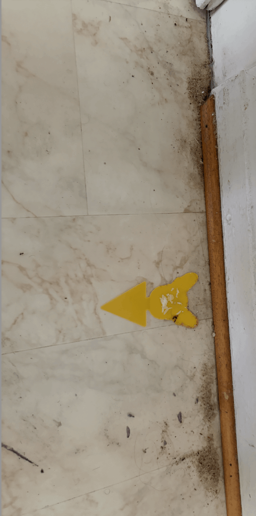 Ant Problem (What is happening here?)