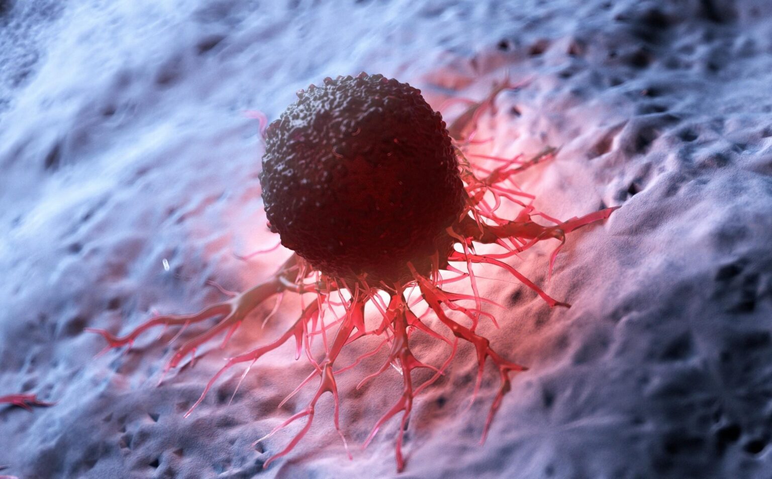 Smaller cancer cells may be far more dangerous than larger ones