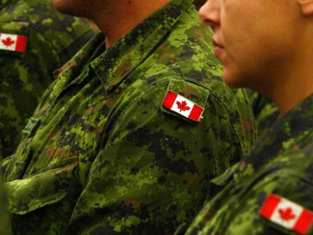 Canadians want defence dollars spent on Canadian-owned firms, not U.S. companies or their subsidiaries