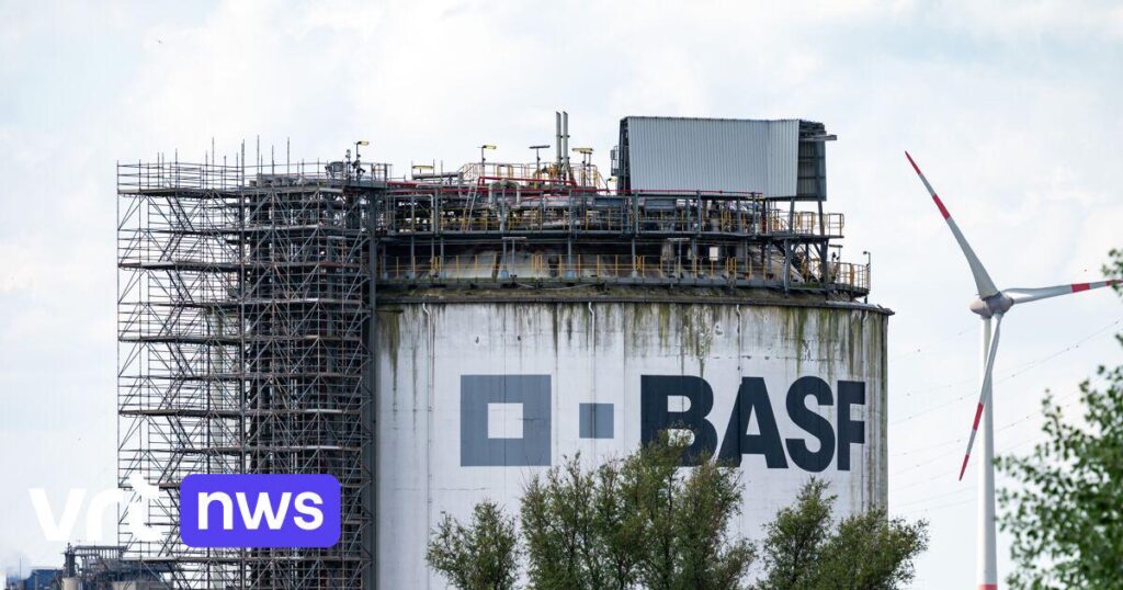 Community service and a fine for BASF foreman in Antwerp who bullied a young employee extremely for months