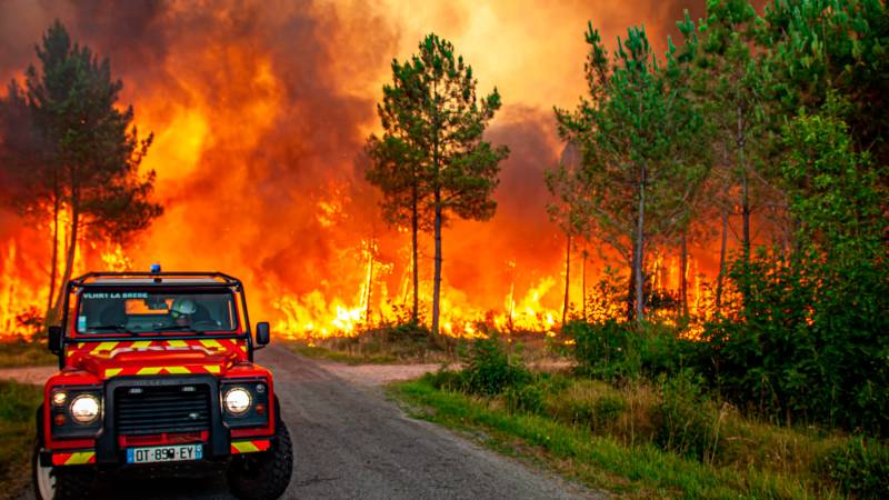 Major increase in Croatian wildfires this year Major increase in Croatian wildfires this year