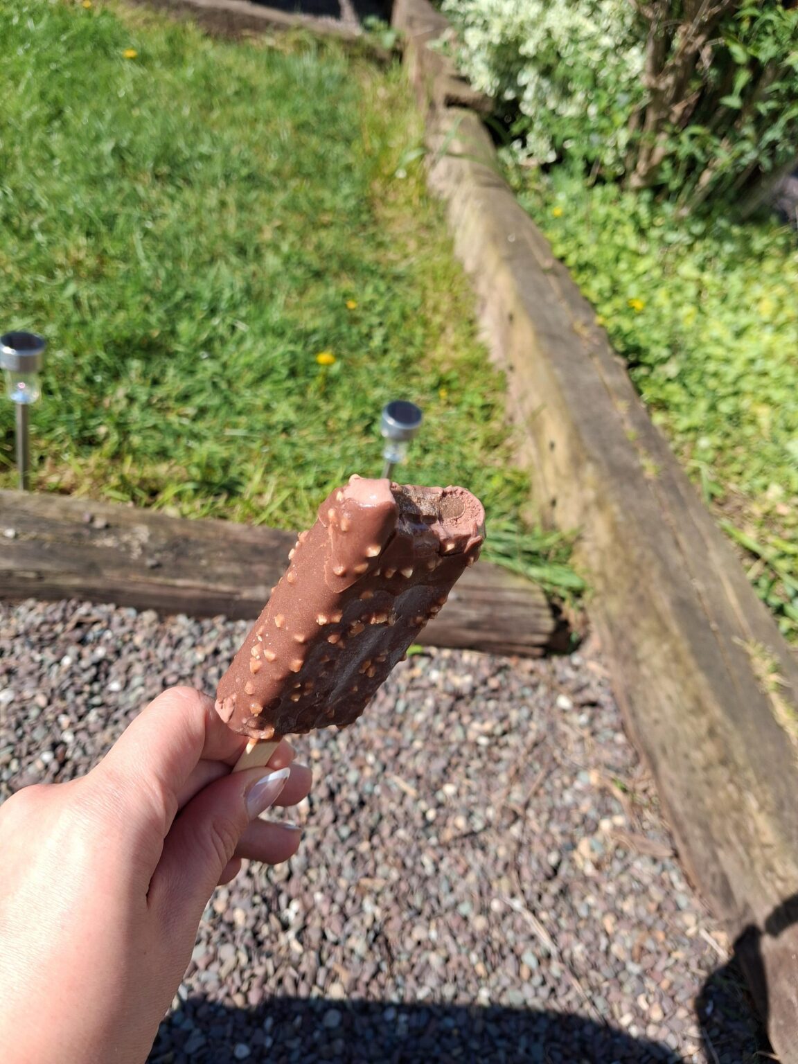 Aldi feast ice cream knock off