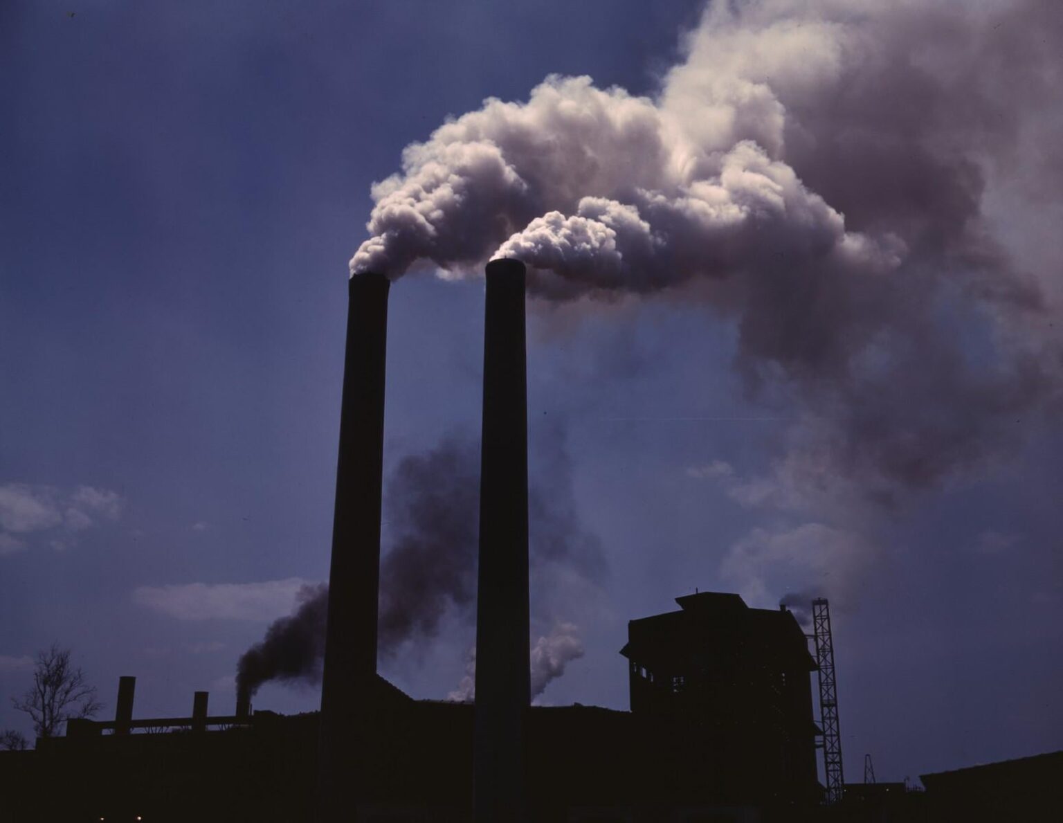 Short exposures to common air pollutants shown to have distinct impacts on lung function and brain activity. Neurological diseases have been increasing for decades and there is now a greater appreciation that long term exposure to elevated levels of air pollution are associated in dementia risk Short exposures to common air pollutants shown to have distinct impacts on lung function and brain activity. Neurological diseases have been increasing for decades and there is now a greater appreciation that long term exposure to elevated levels of air pollution are associated in dementia risk