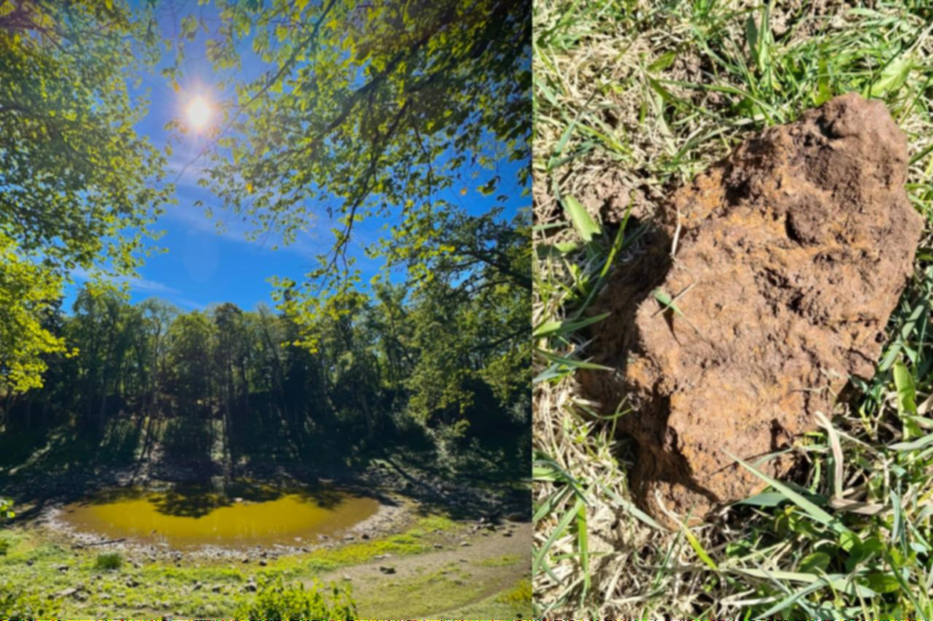 The main crater eventually filled with water, forming what is now Lake Kaali. (Photo via Facebook/Z glowa w gwiazdach)